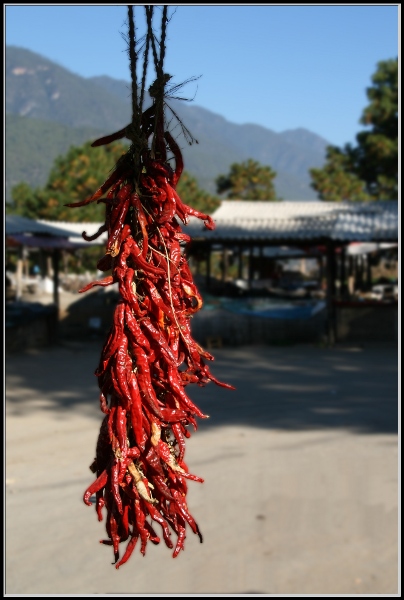 Peppers Drying